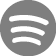 spotify-icon